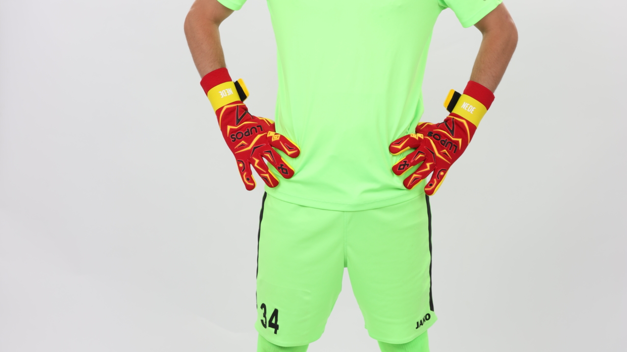 NEDELCOVICI CRISTIAN NICOLAE FC METALOGLOBUS BUCURESTI