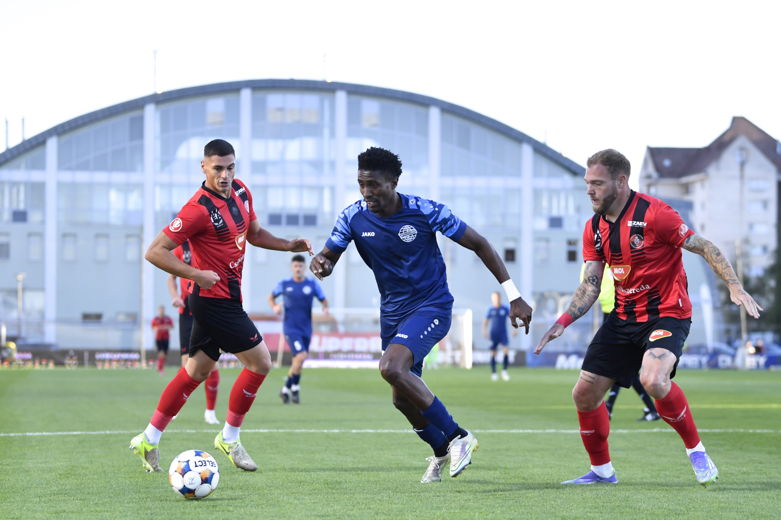 Ely Fernandes Metaloglobus