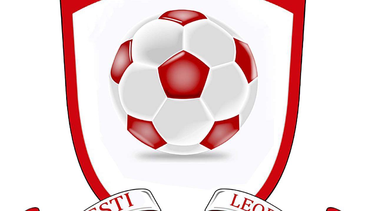 Popesti Leordeni