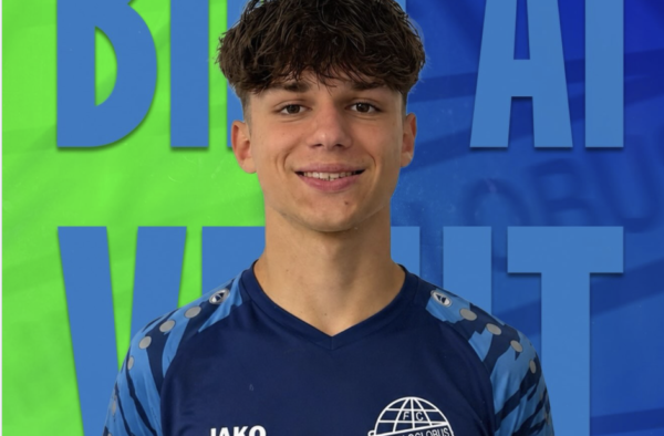 Luca Stoica